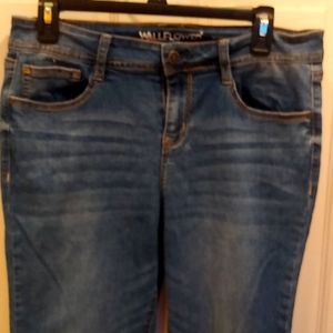13 Jr Wallflower Legendary fit jeans